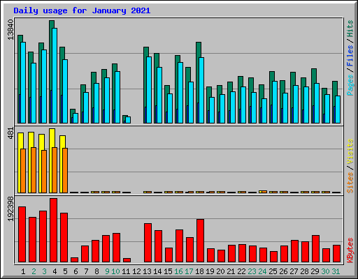 Daily usage for January 2021