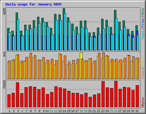 Daily usage for January 2025