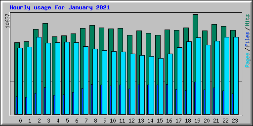 Hourly usage for January 2021