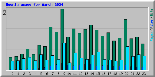 Hourly usage for March 2024