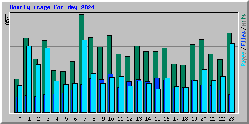 Hourly usage for May 2024