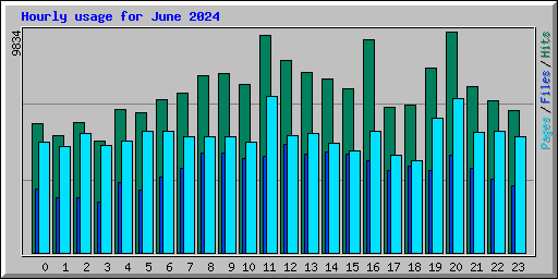 Hourly usage for June 2024