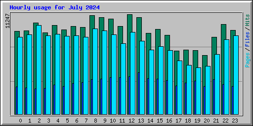 Hourly usage for July 2024