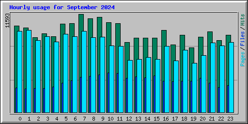 Hourly usage for September 2024
