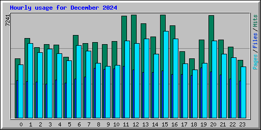 Hourly usage for December 2024