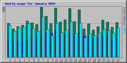 Hourly usage for January 2025