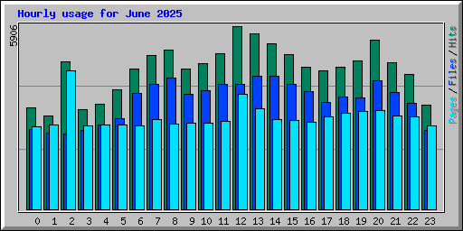 Hourly usage for June 2025
