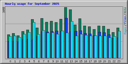 Hourly usage for September 2025