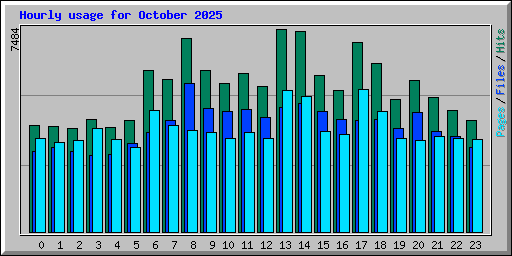 Hourly usage for October 2025