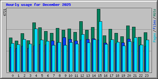 Hourly usage for December 2025