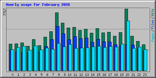Hourly usage for February 2026