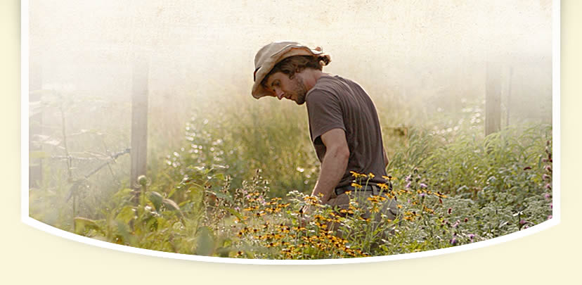 Native TN Plant Nursery